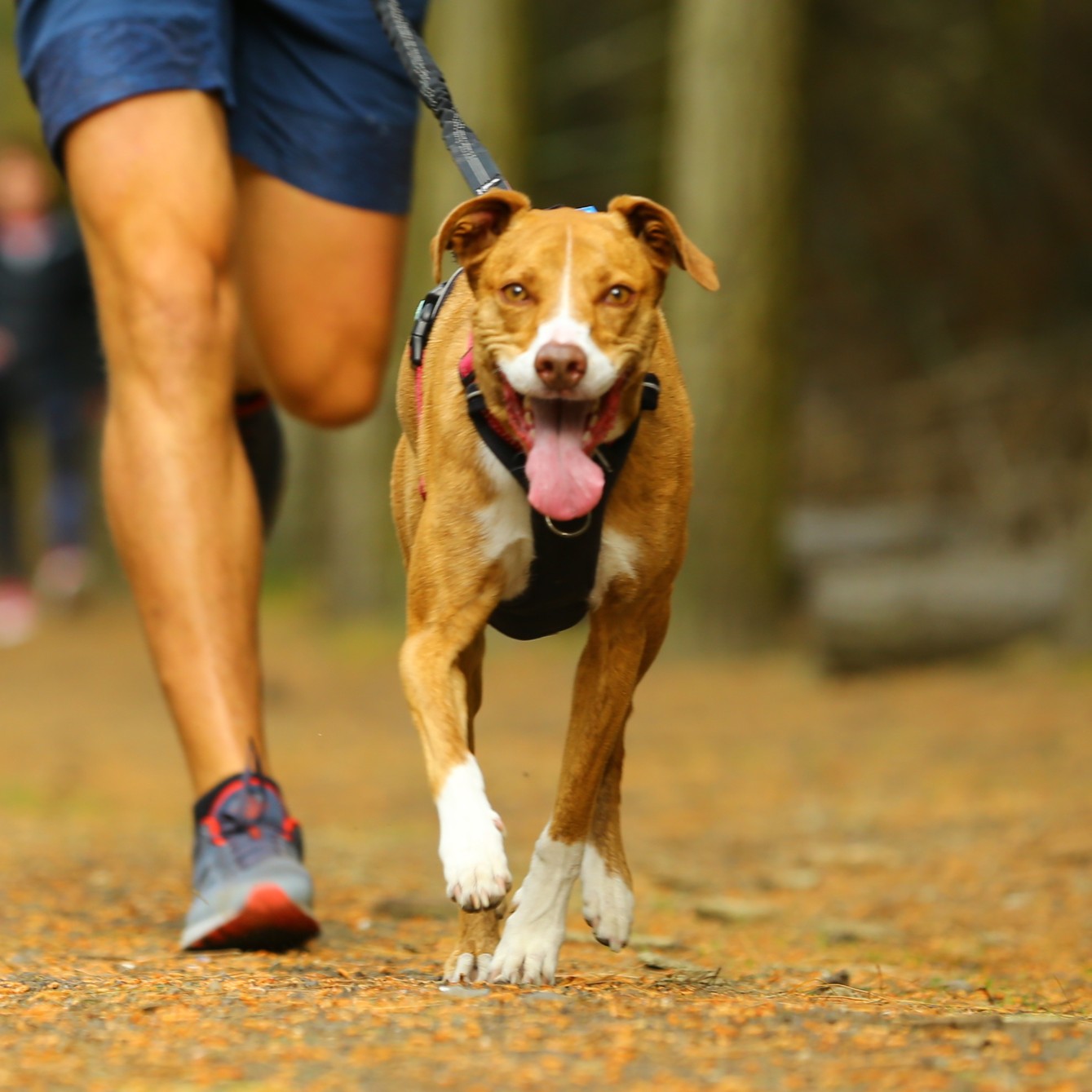 Molly - Head of HR and Trail Tester
