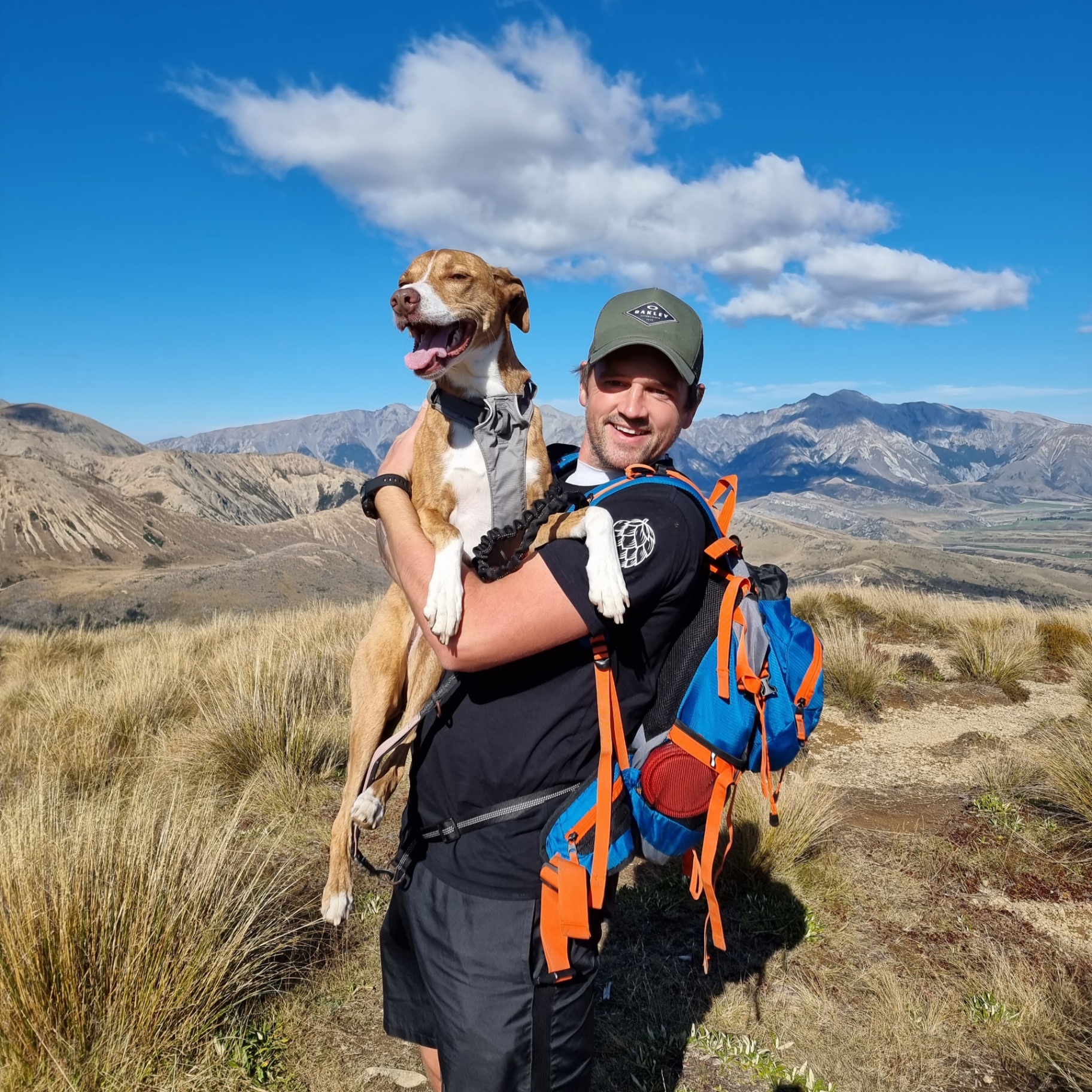 Andy Annable - Director